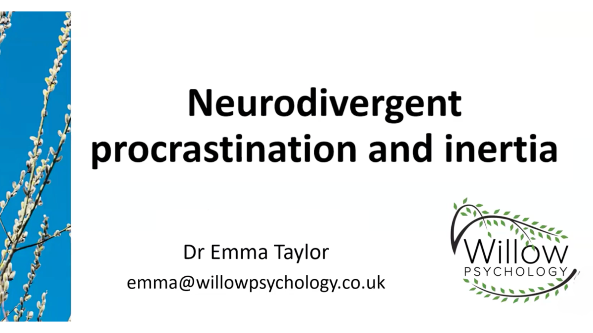 Neurodivergent Procrastination and Inertia Tools for Therapists and Individuals Workshop with Emma Taylor