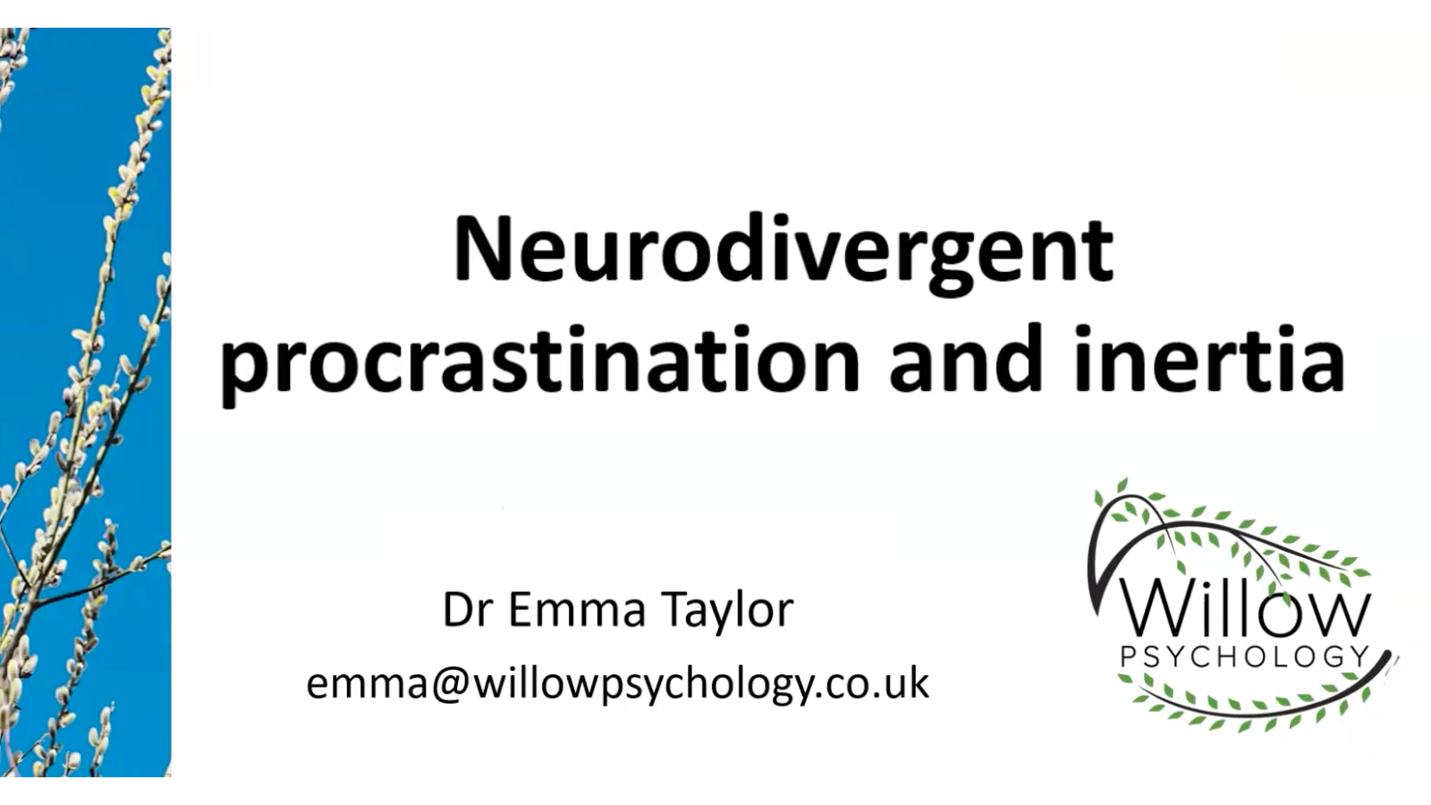 Neurodivergent Procrastination and Inertia Tools for Therapists and Individuals Workshop with Emma Taylor